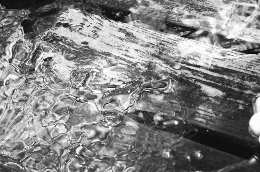 Shallow Wading